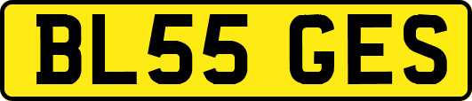 BL55GES
