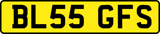 BL55GFS