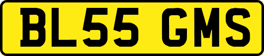 BL55GMS