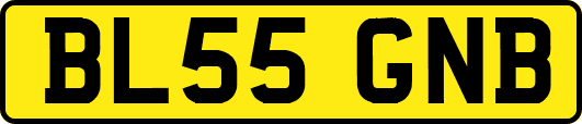 BL55GNB