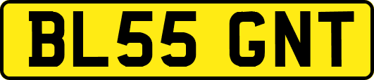 BL55GNT