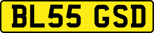 BL55GSD