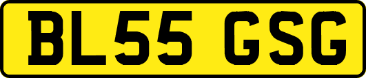 BL55GSG
