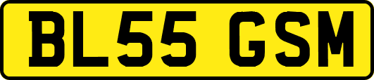 BL55GSM
