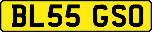 BL55GSO