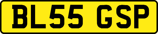 BL55GSP