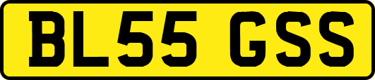 BL55GSS