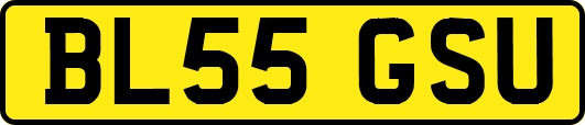 BL55GSU