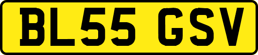 BL55GSV