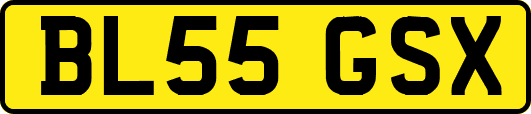 BL55GSX