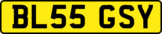 BL55GSY