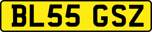 BL55GSZ