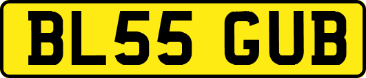 BL55GUB