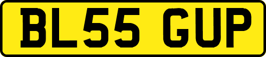 BL55GUP