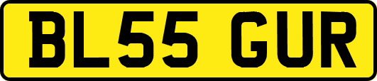 BL55GUR