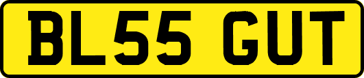 BL55GUT