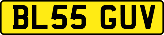 BL55GUV