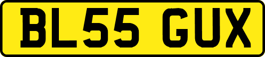 BL55GUX