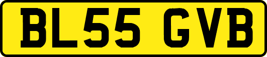 BL55GVB