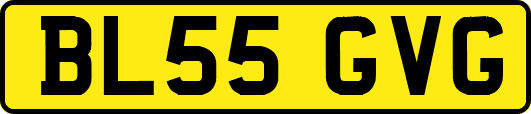 BL55GVG