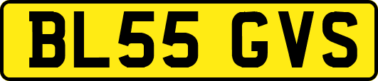 BL55GVS