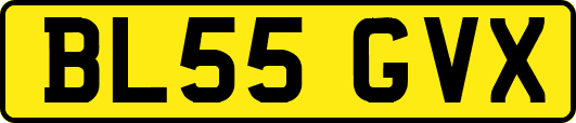 BL55GVX