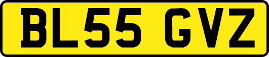 BL55GVZ