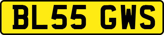BL55GWS