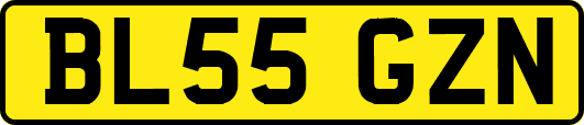 BL55GZN