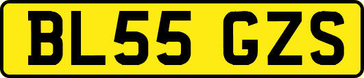 BL55GZS