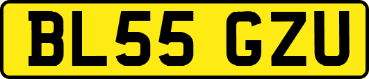 BL55GZU