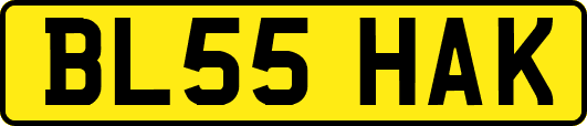 BL55HAK