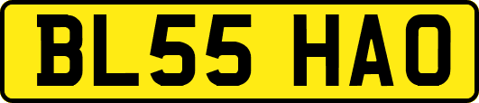 BL55HAO