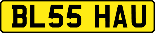 BL55HAU