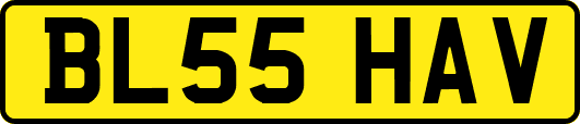 BL55HAV