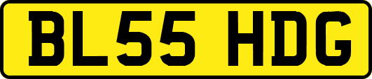BL55HDG