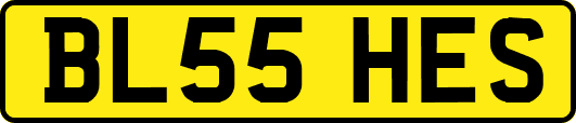 BL55HES
