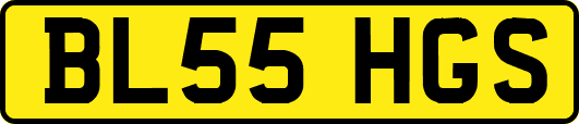 BL55HGS