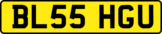 BL55HGU