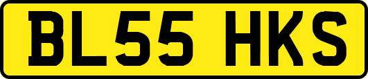 BL55HKS