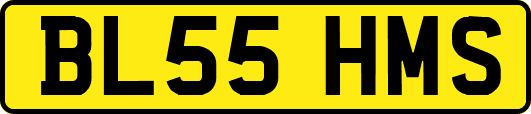 BL55HMS