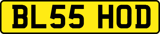 BL55HOD