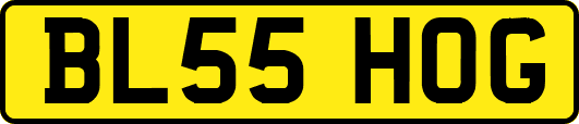 BL55HOG
