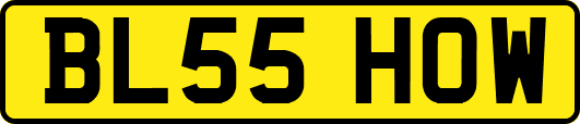 BL55HOW