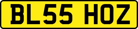 BL55HOZ
