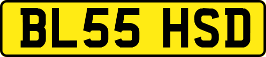 BL55HSD