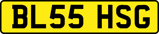 BL55HSG