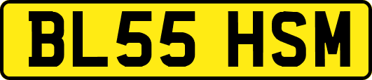 BL55HSM