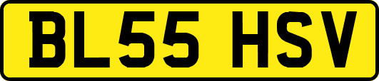 BL55HSV