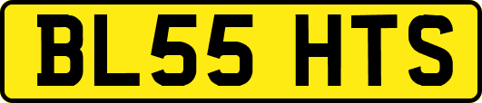 BL55HTS